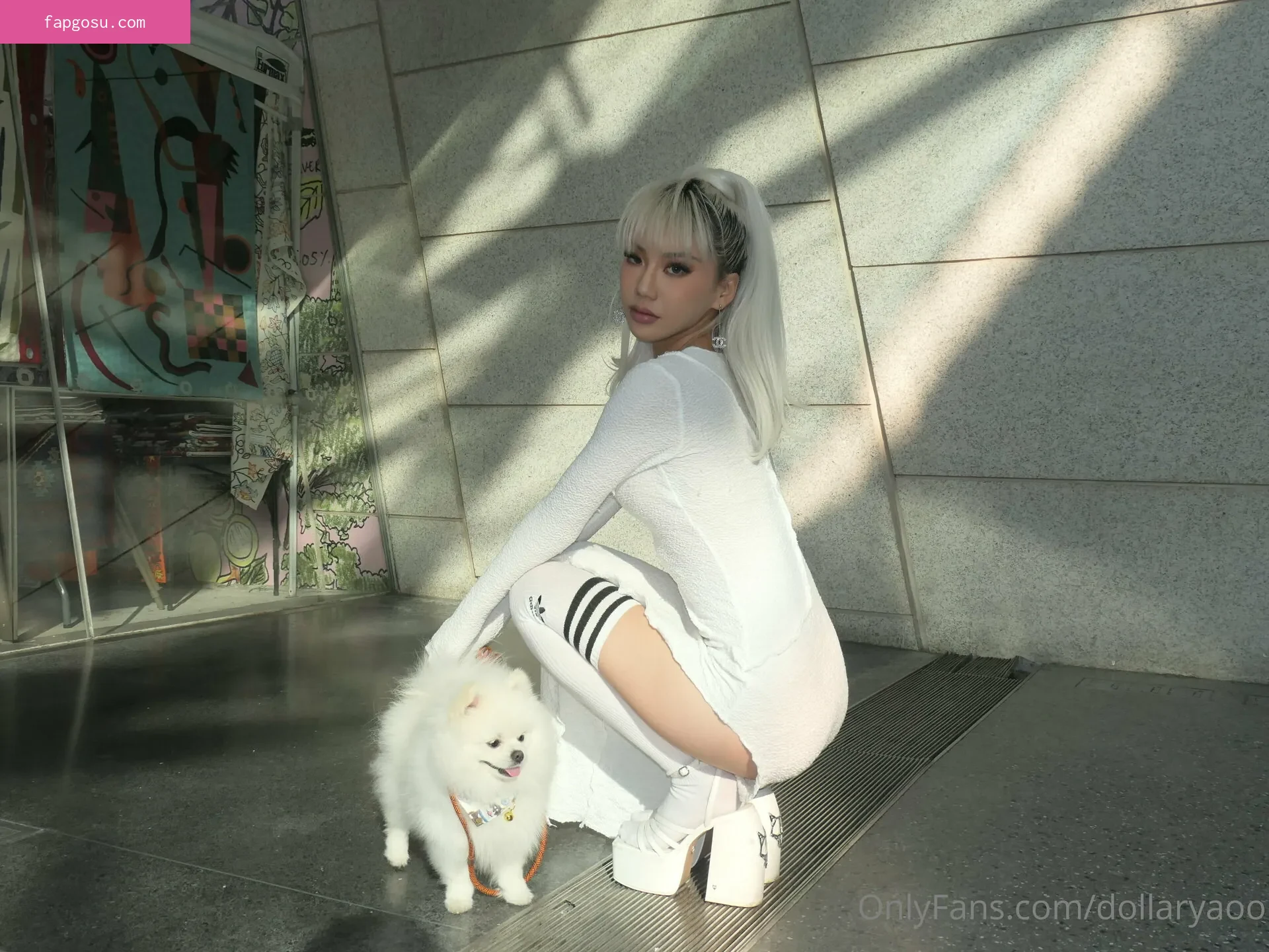 dollaryaoo