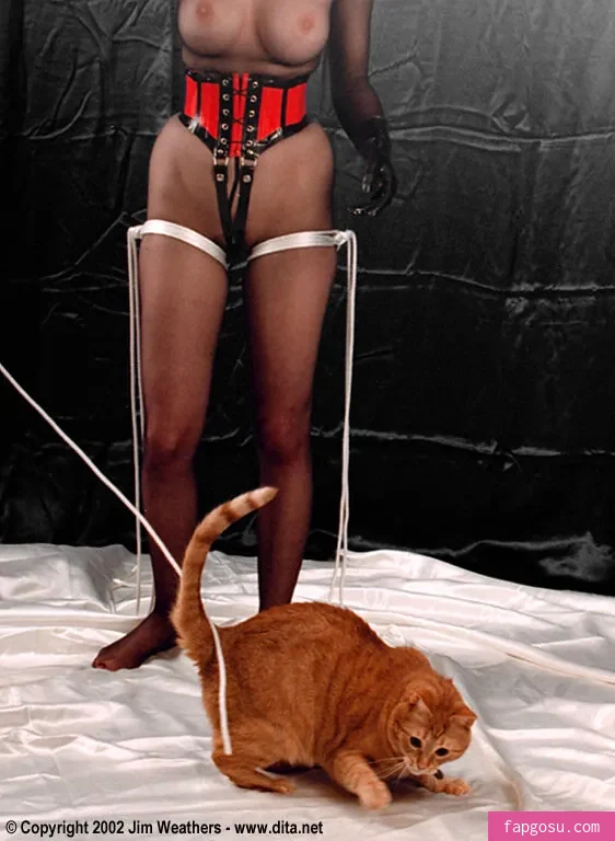 Dita Von Teese