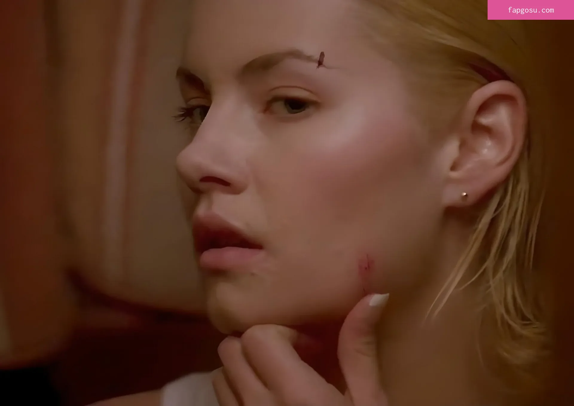 Elisha Cuthbert