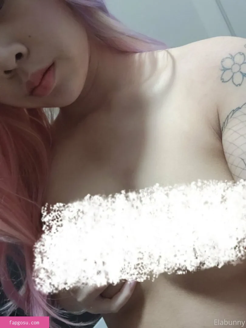elabunny