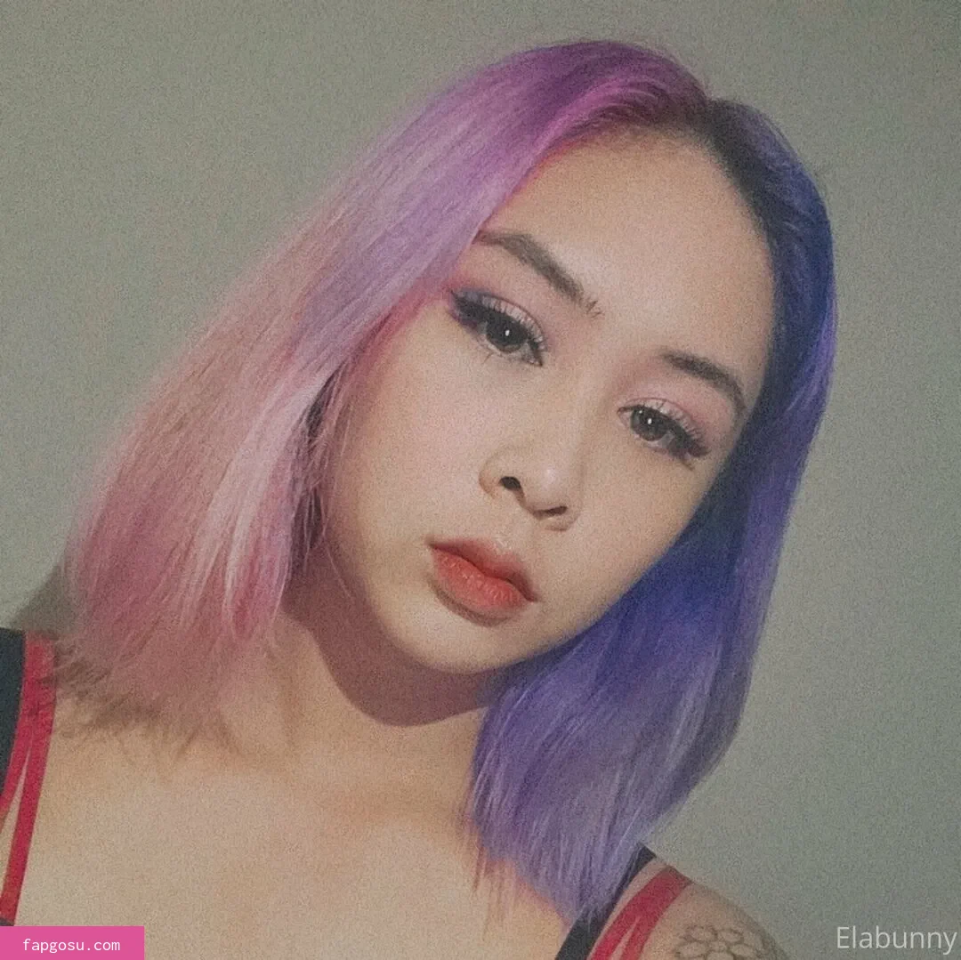elabunny