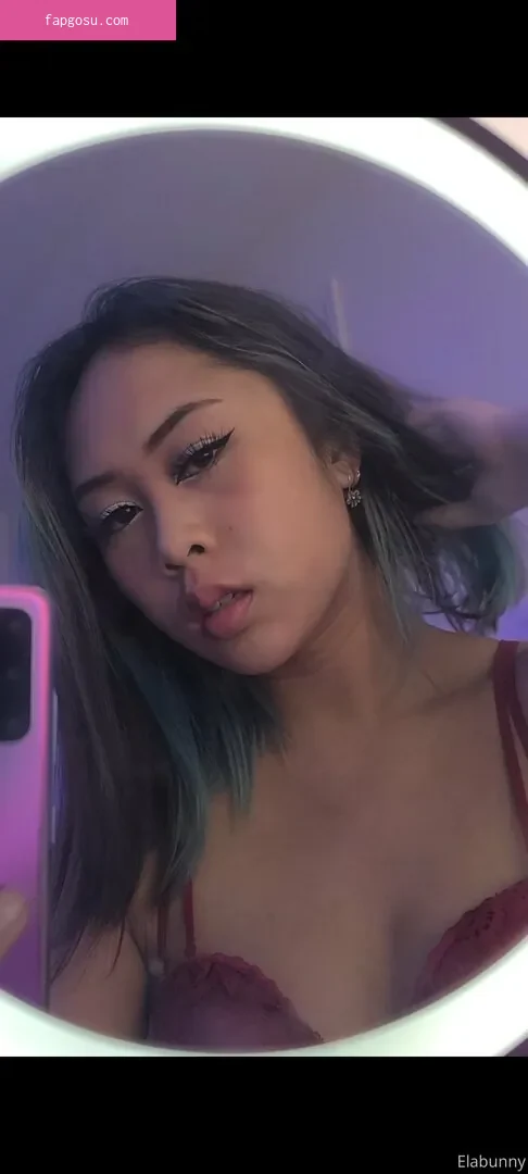 elabunny