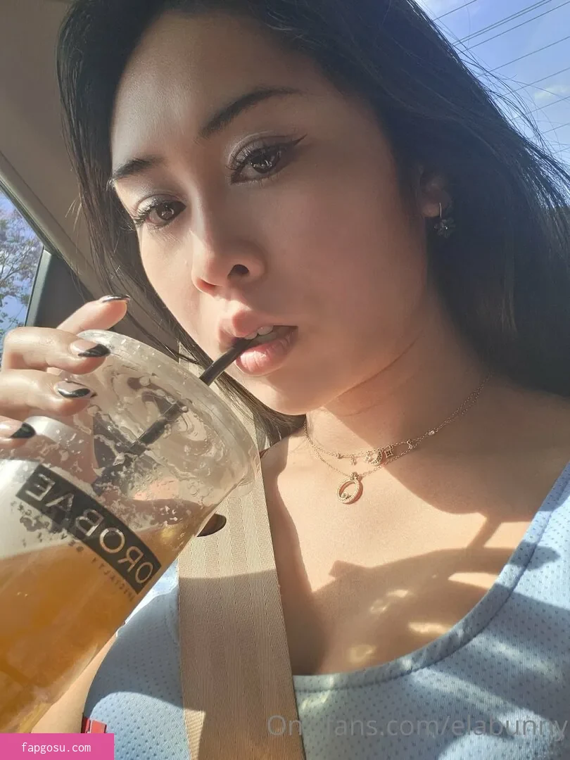 elabunny