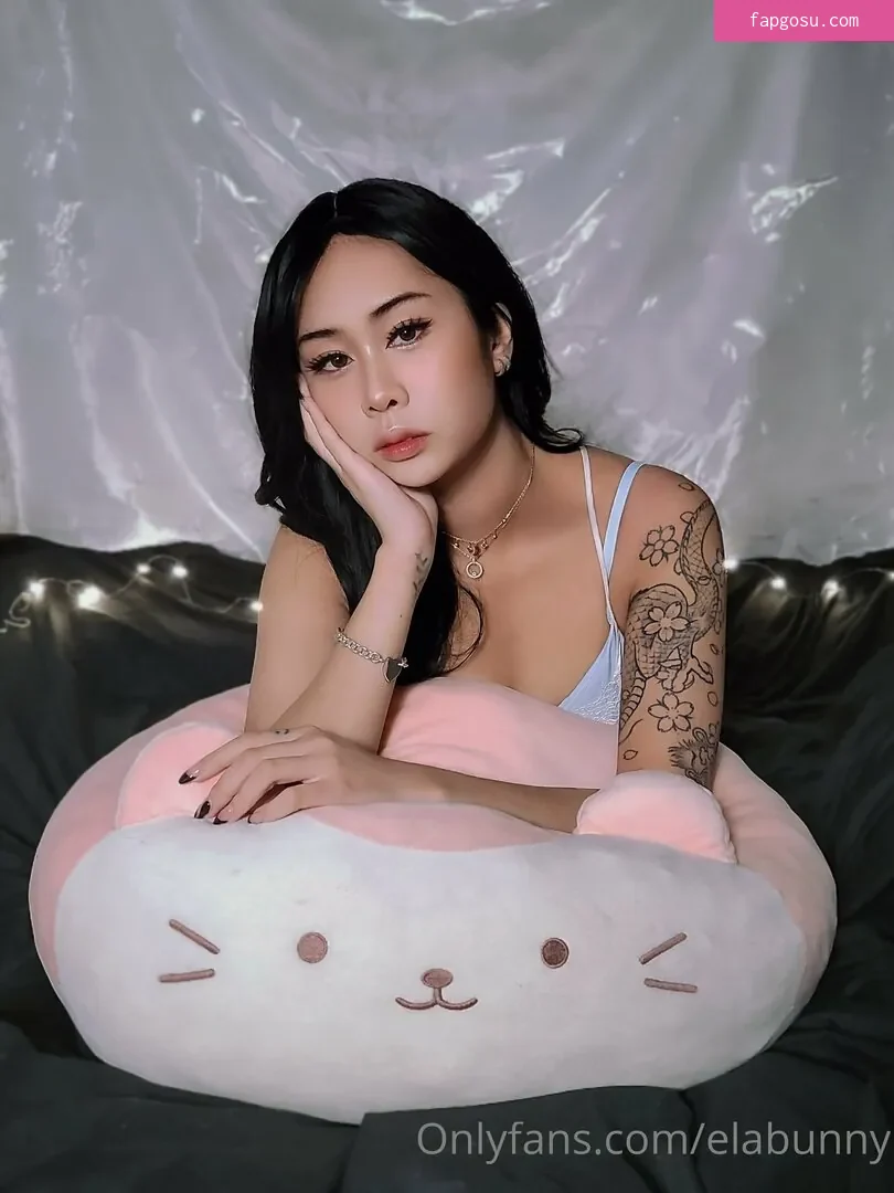 elabunny