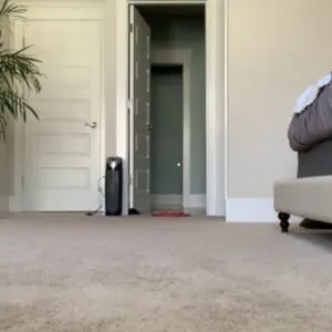 Eva Lovia content