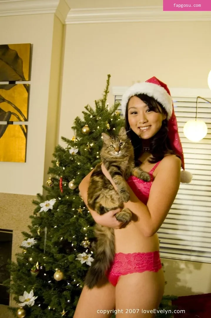 Evelyn Lin