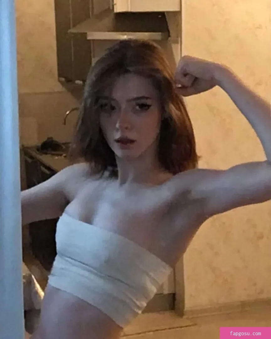 envylink