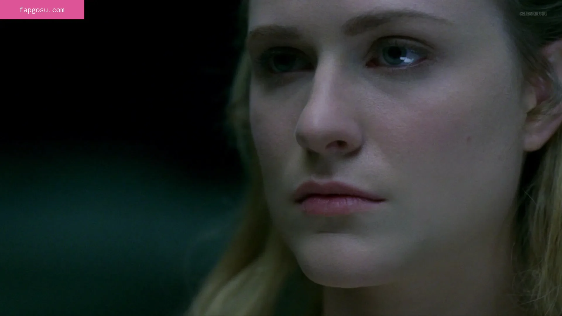 Evan Rachel Wood
