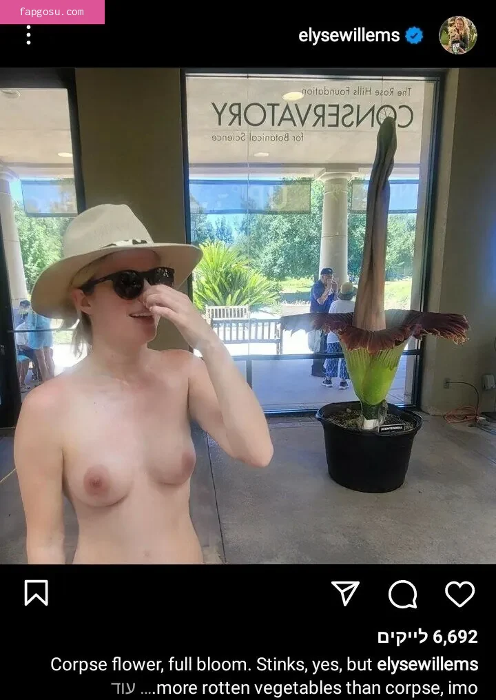 Elyse Willems