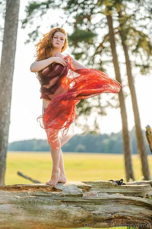 Foxydirndl content
