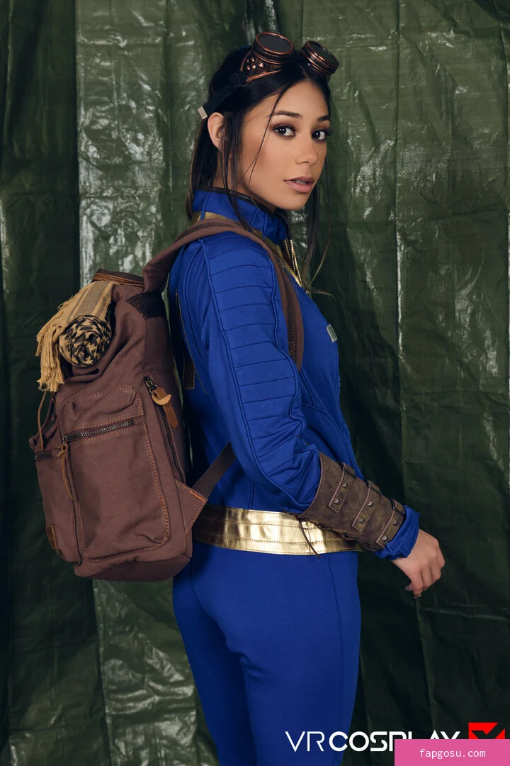 Fallout Porn
