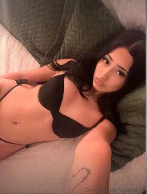 Gata777 content