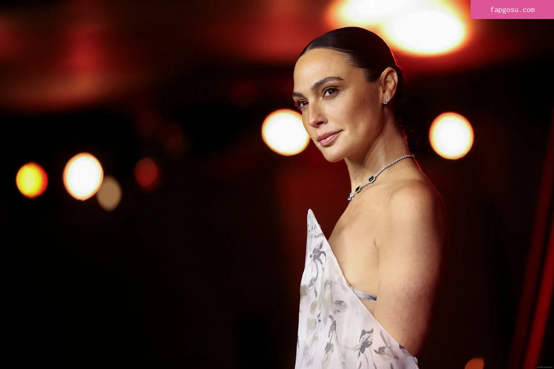 gal_gadot - Photo #1251