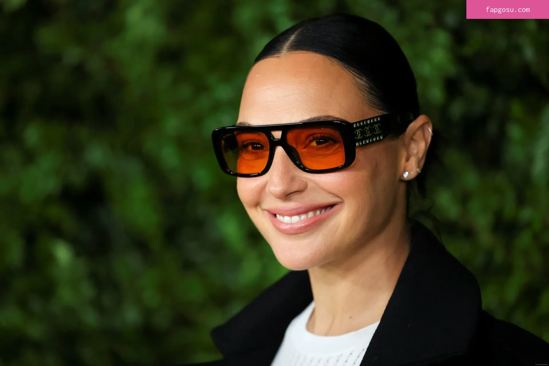 gal_gadot - Photo #1301