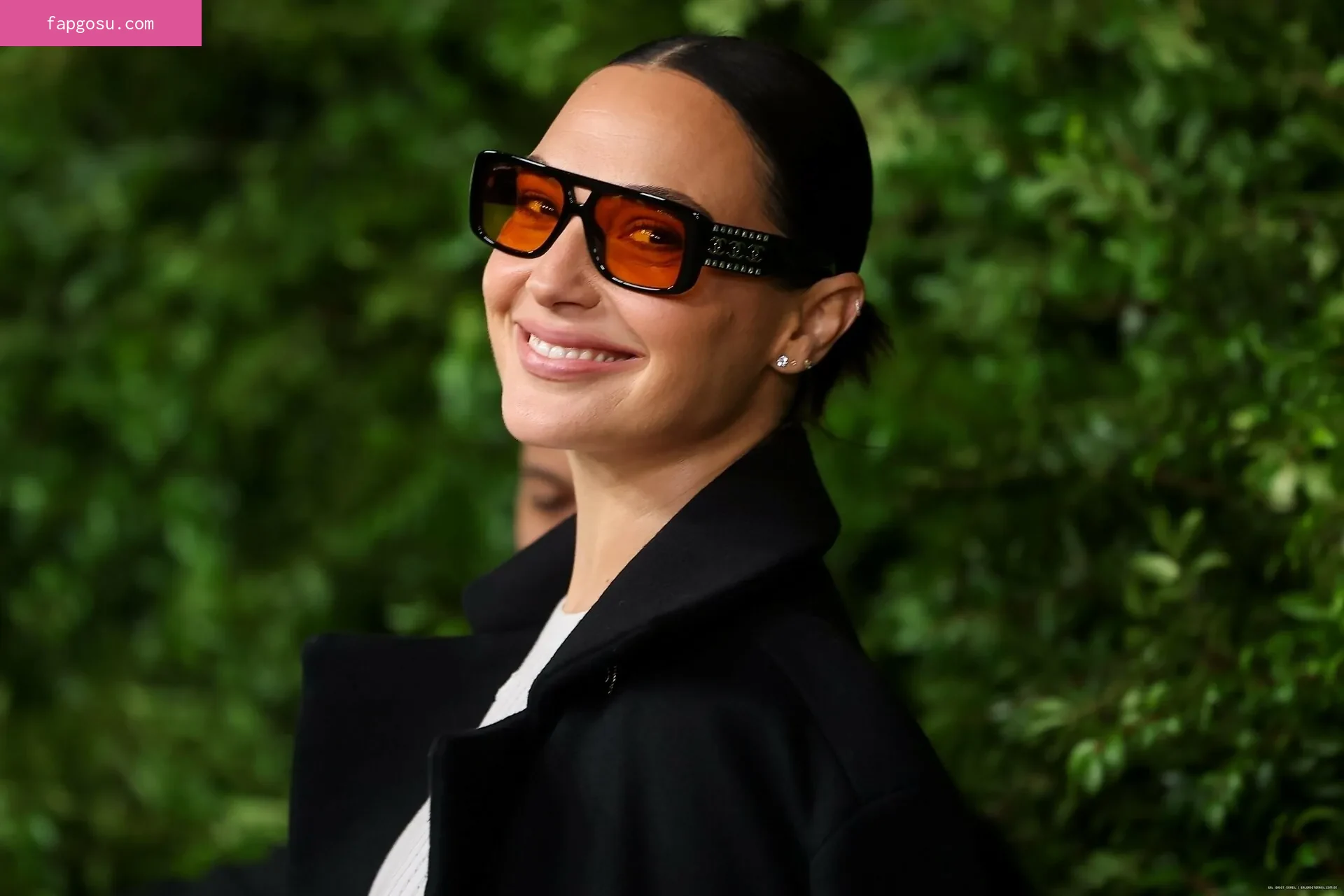 gal_gadot - Photo #1316