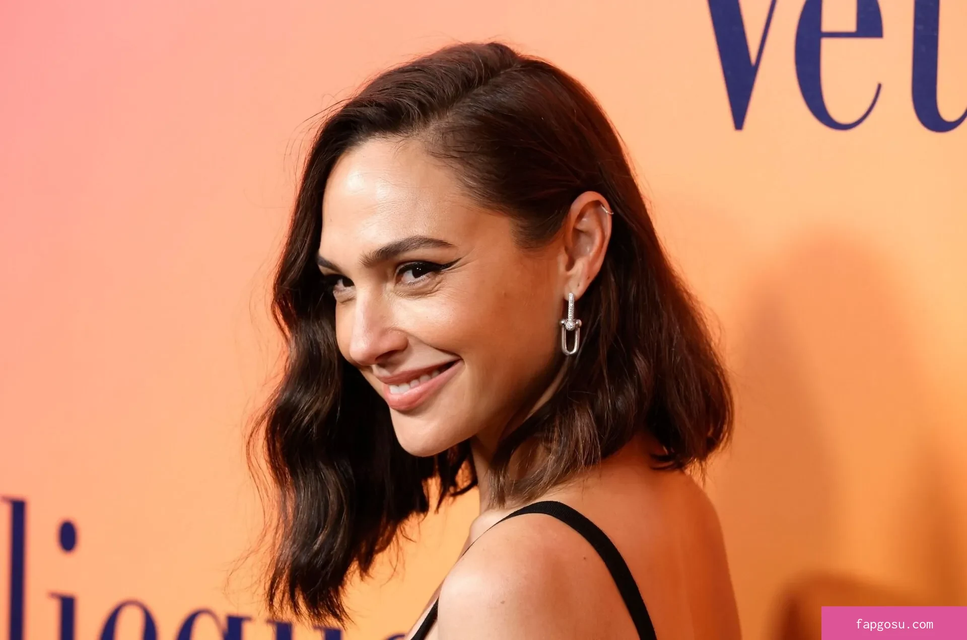 gal_gadot - Photo #433