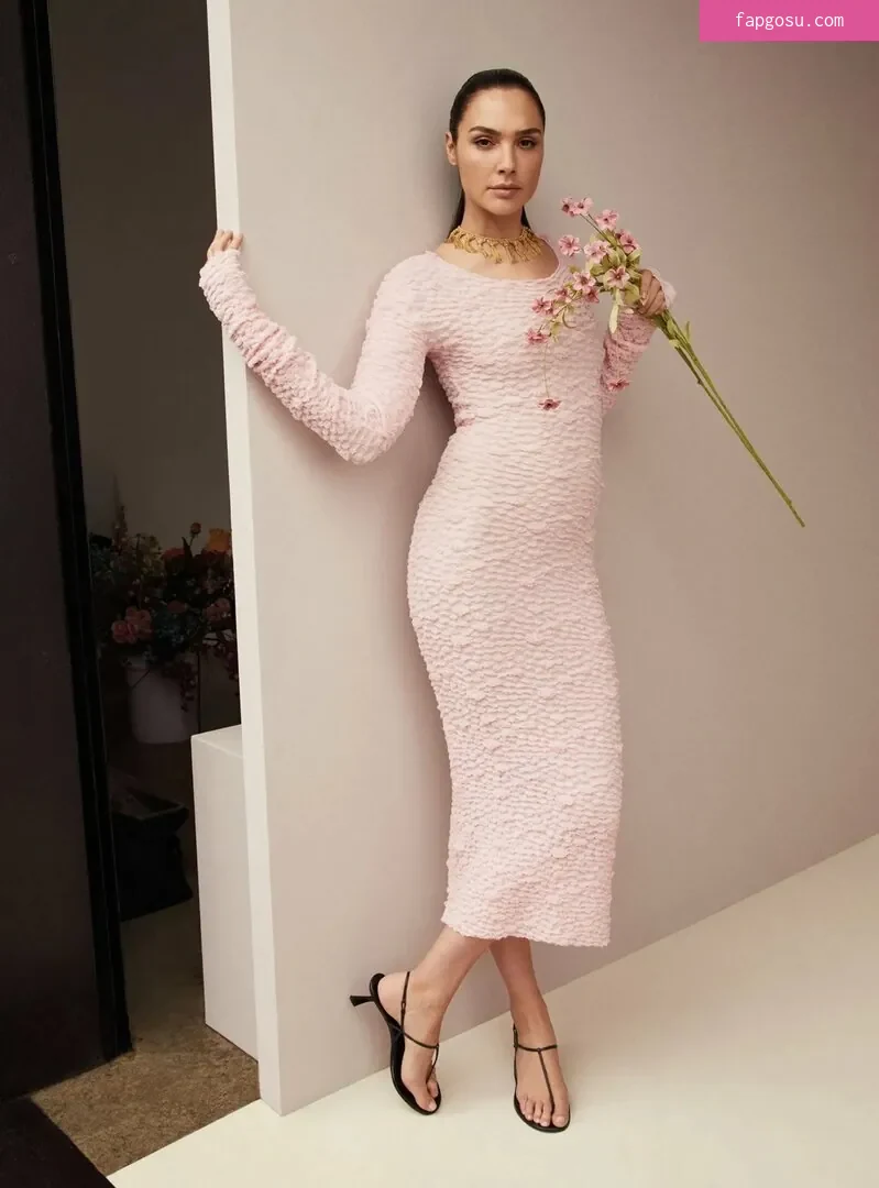 gal_gadot - Photo #587