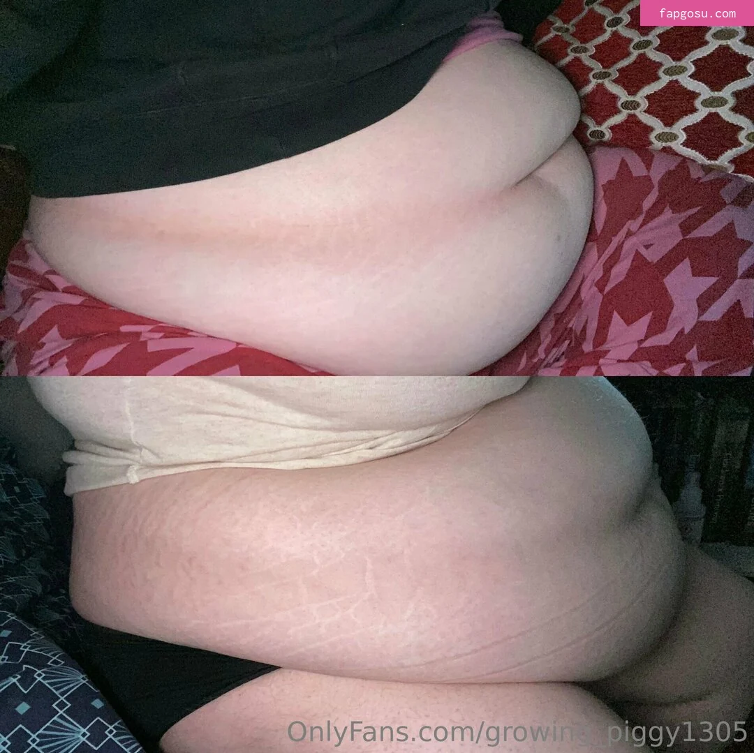 growing_piggy1305