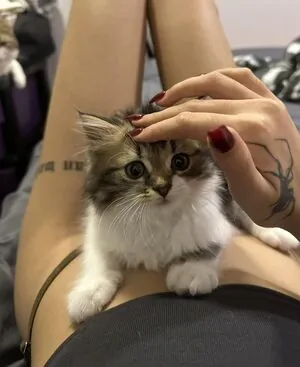 Gupgiiiiift content
