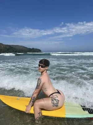Haroldcdalves content