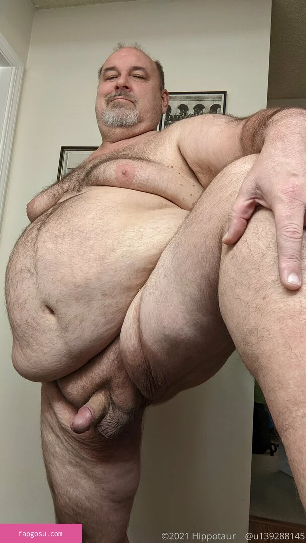 hippotaur
