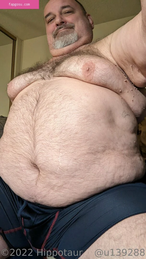 hippotaur