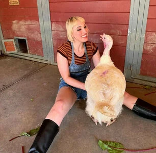 Harley Quinn Smith content