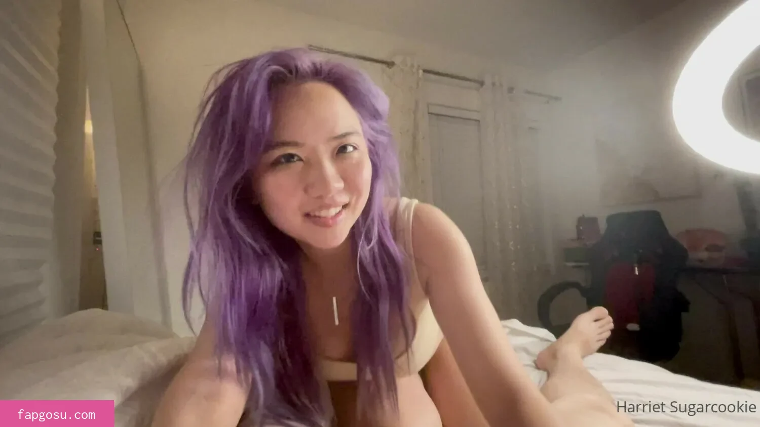 Harriet Sugarcookie