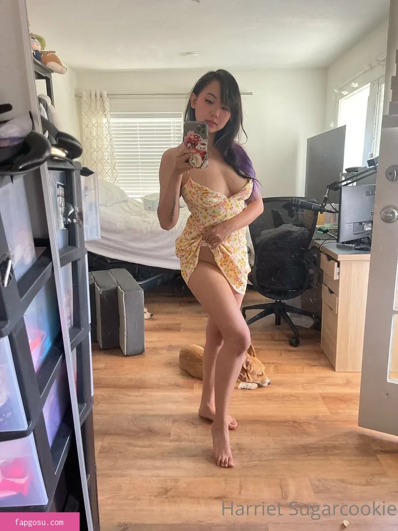 Harriet Sugarcookie