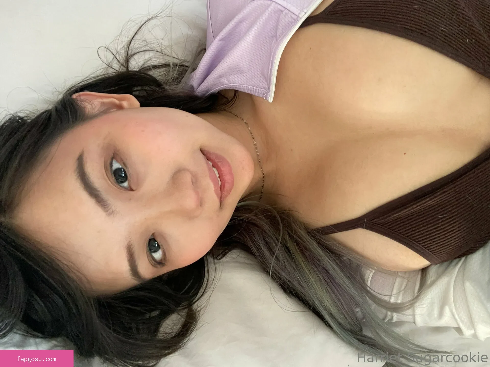 Harriet Sugarcookie