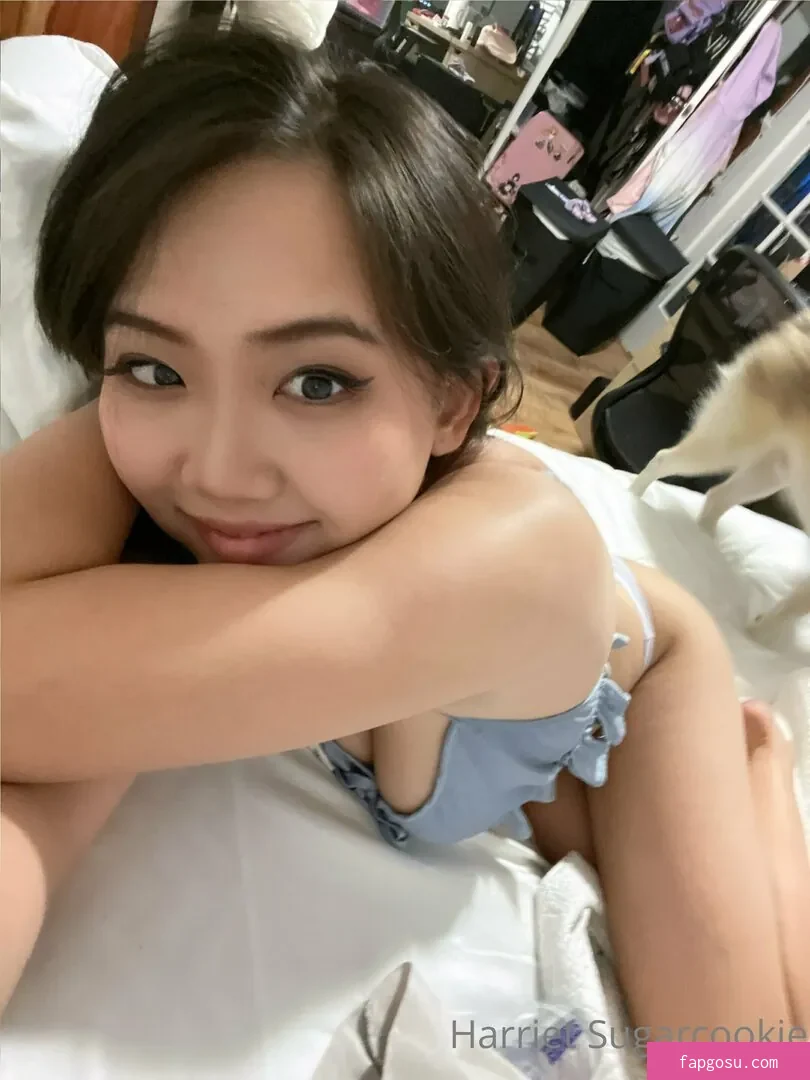 Harriet Sugarcookie