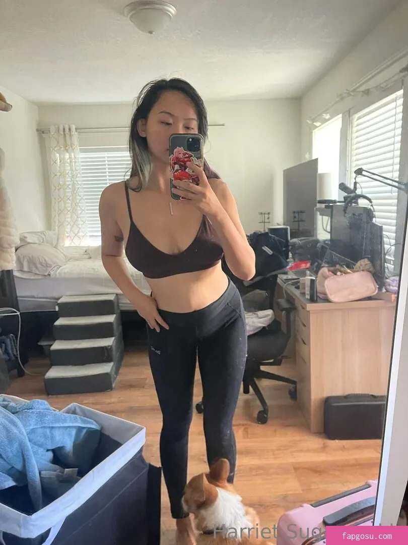 Harriet Sugarcookie