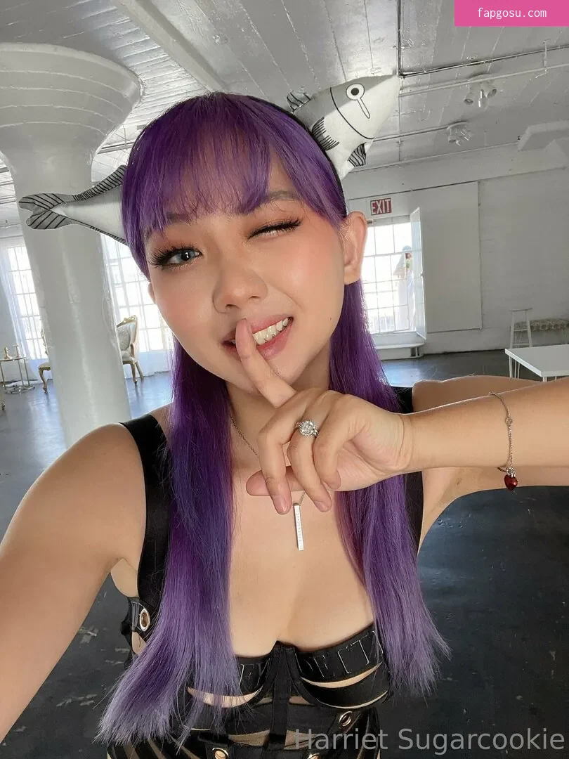 Harriet Sugarcookie