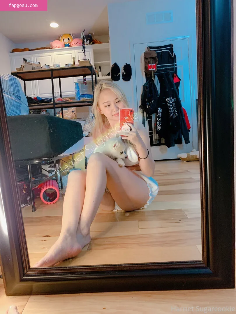 Harriet Sugarcookie