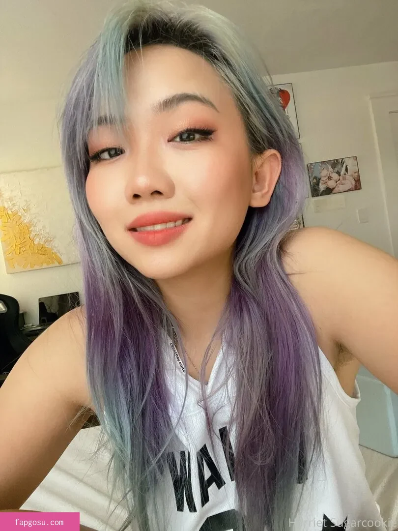 Harriet Sugarcookie