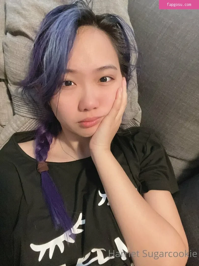 Harriet Sugarcookie