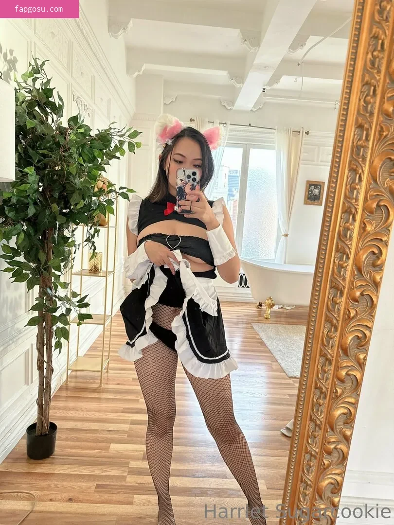 Harriet Sugarcookie