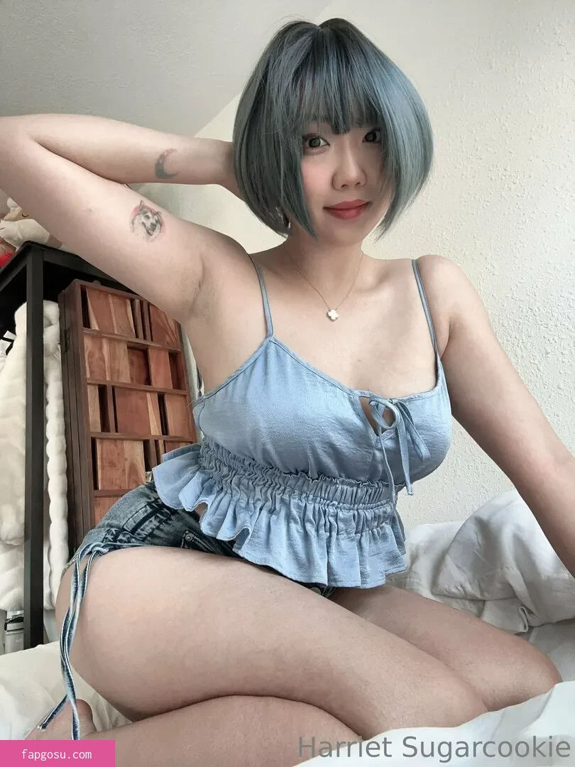 Harriet Sugarcookie