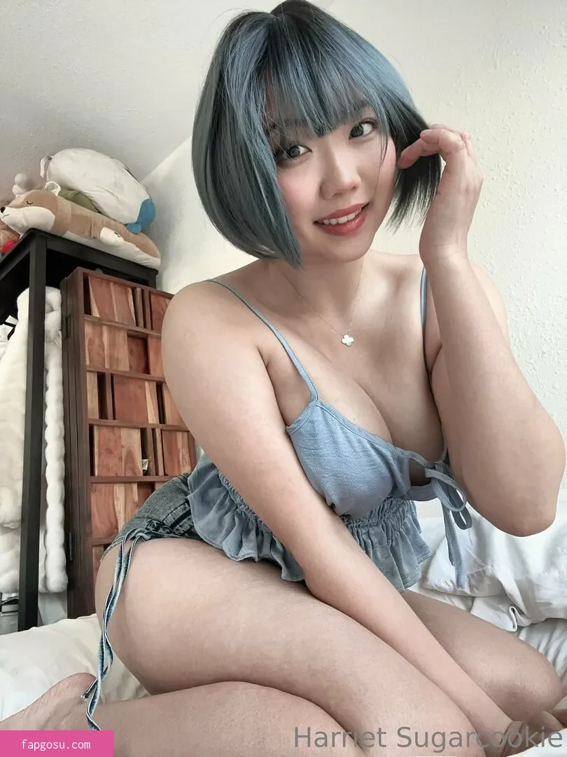Harriet Sugarcookie