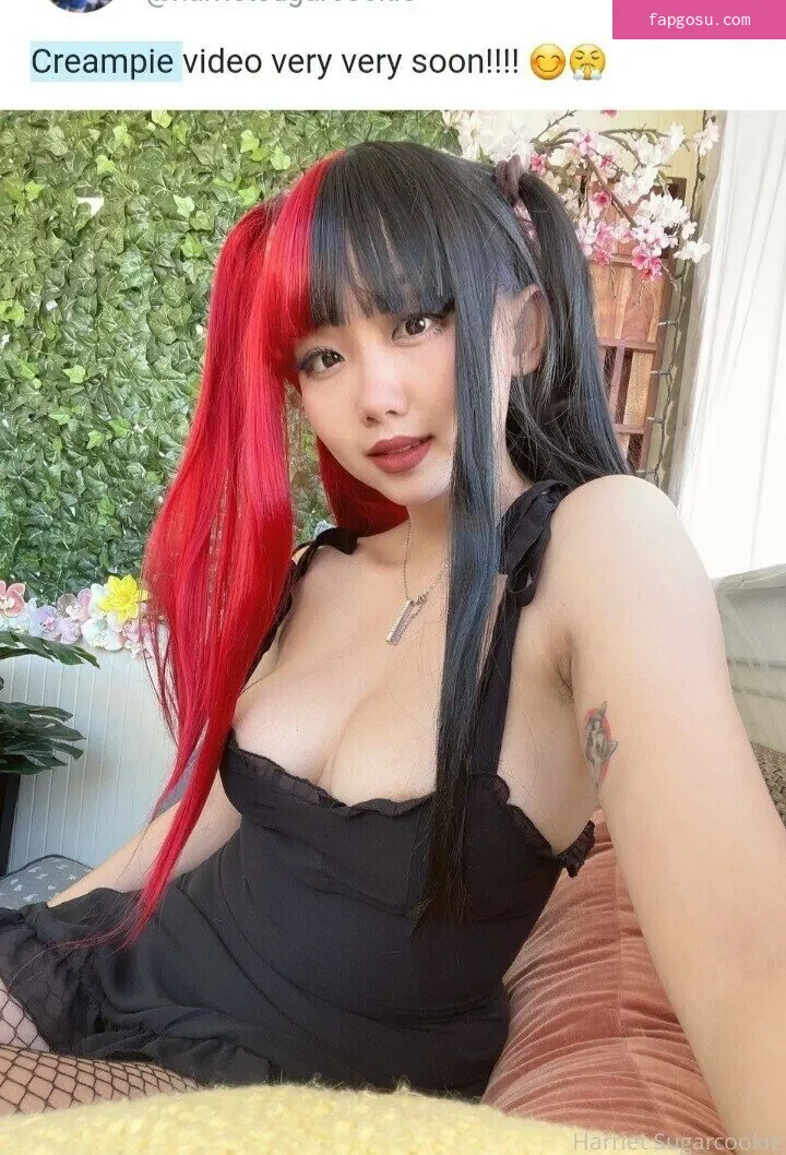 Harriet Sugarcookie