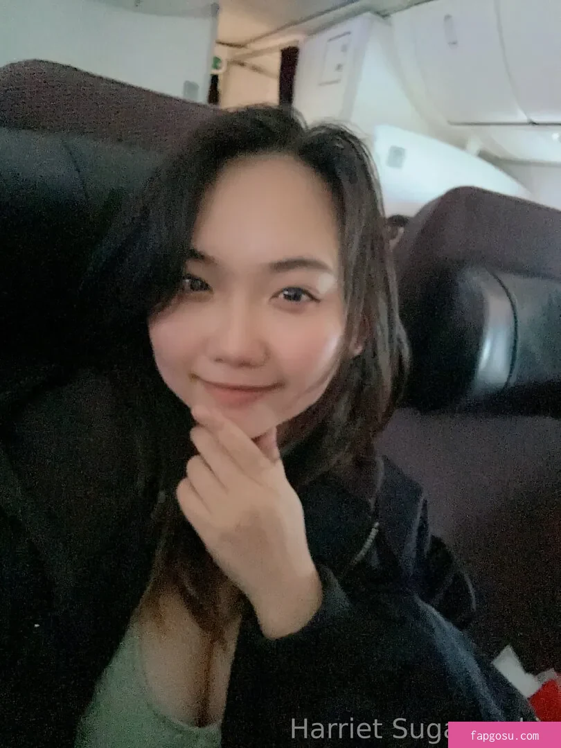 Harriet Sugarcookie