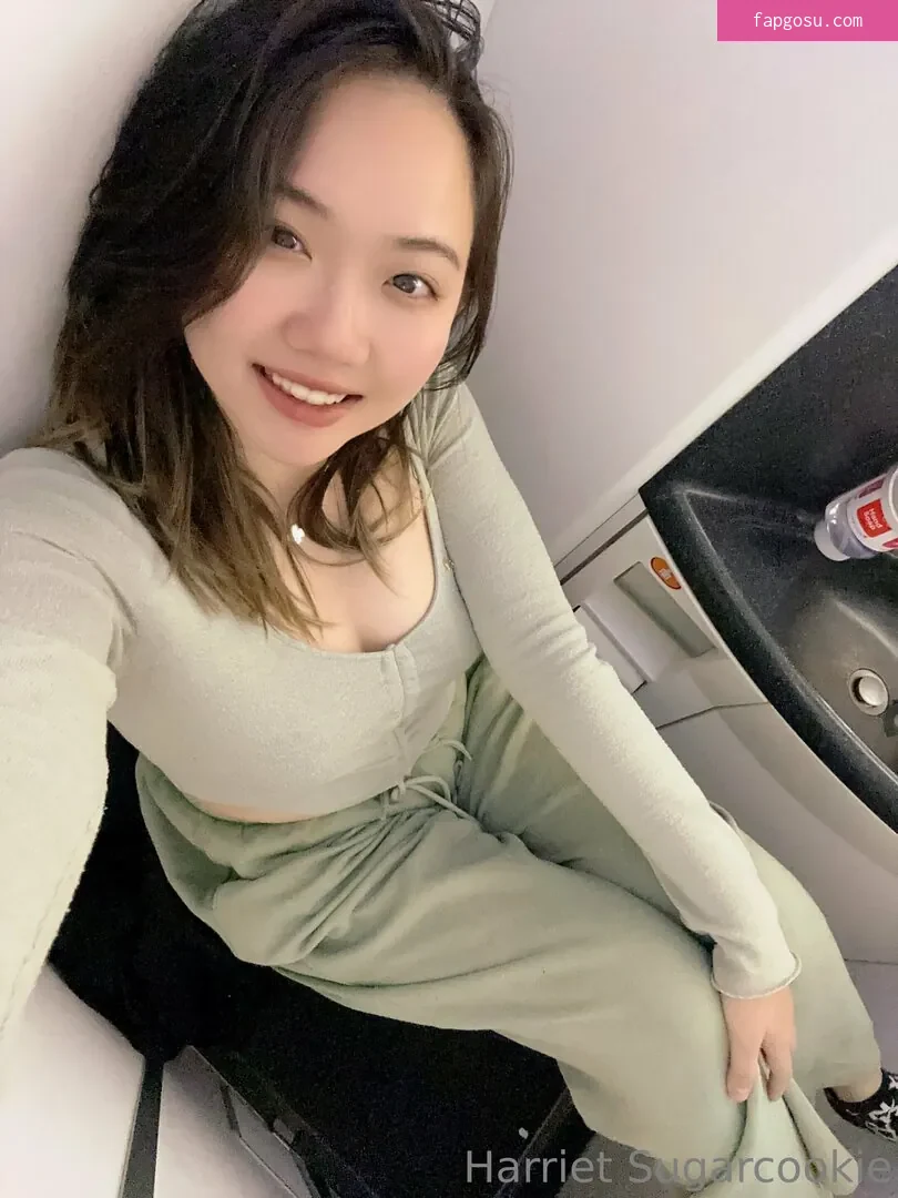 Harriet Sugarcookie