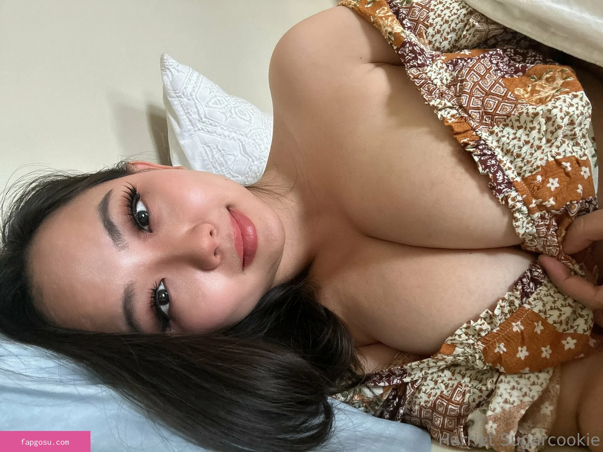 Harriet Sugarcookie