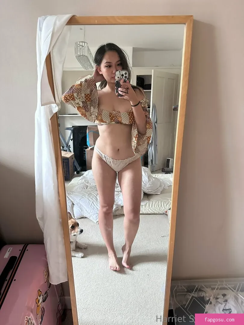 Harriet Sugarcookie
