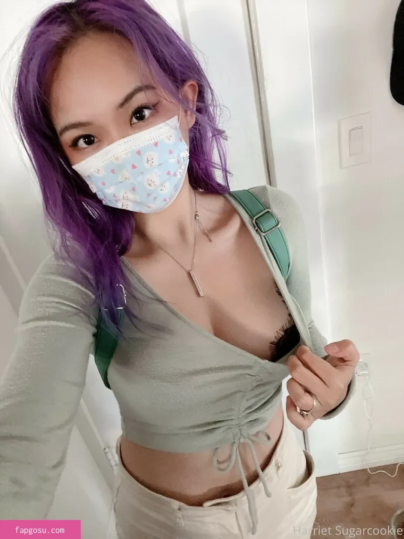 Harriet Sugarcookie