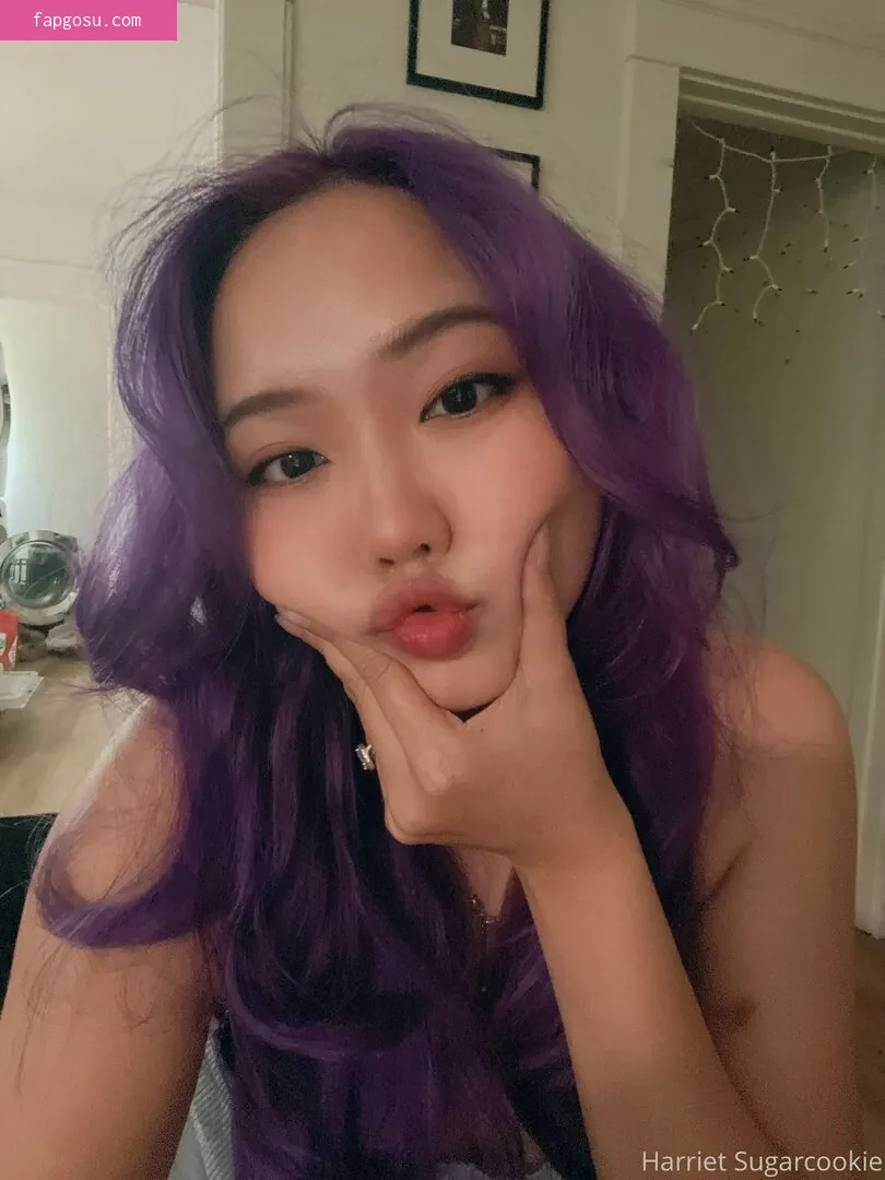 Harriet Sugarcookie