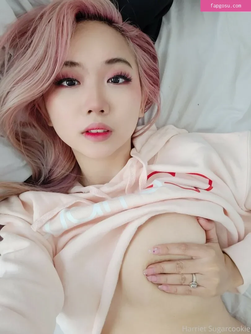 Harriet Sugarcookie