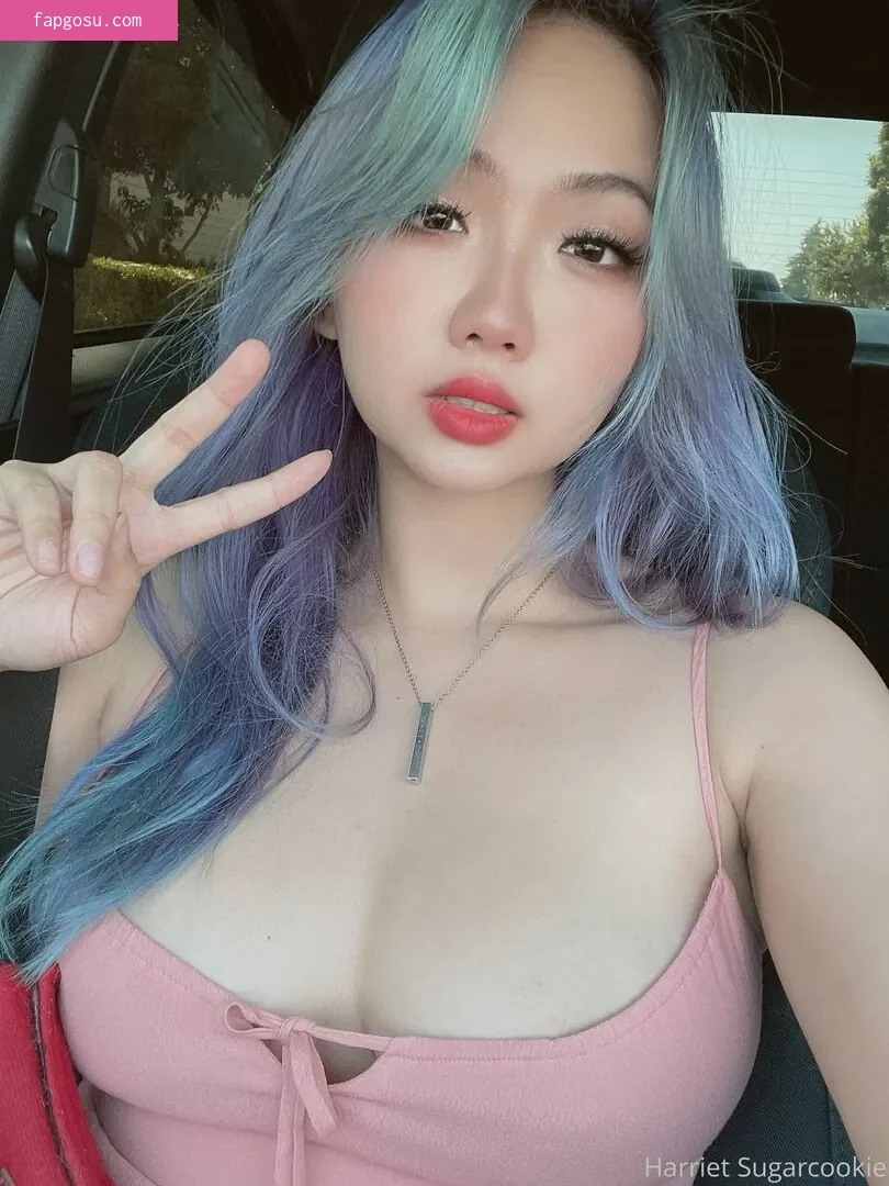 Harriet Sugarcookie