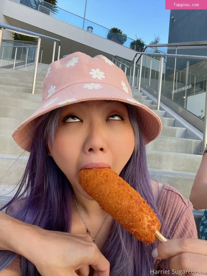 Harriet Sugarcookie