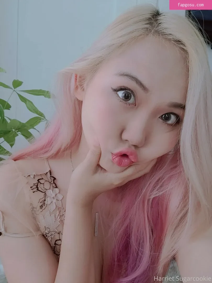 Harriet Sugarcookie